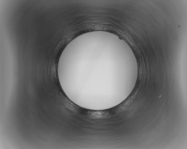 X0000112210473200908071306