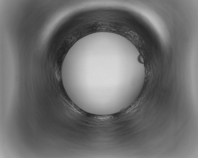 X0000112210479200908071306