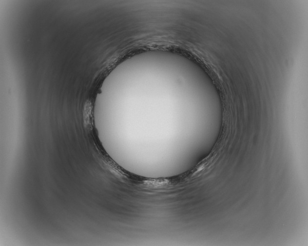 X0000112210480200908071306
