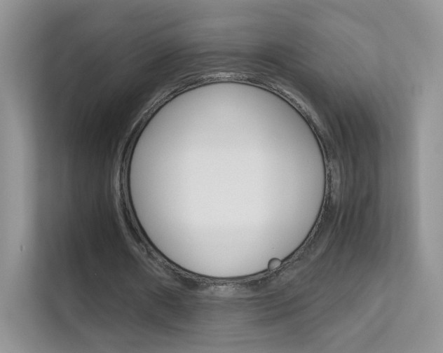 X0000112210482200908071306