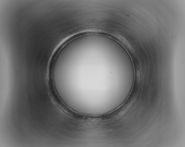 X0000112210484200908071306