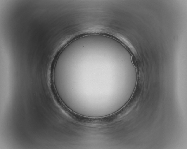 X0000112210485200908071306