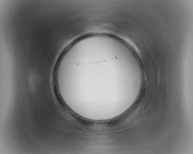 X0000112210487200908071306