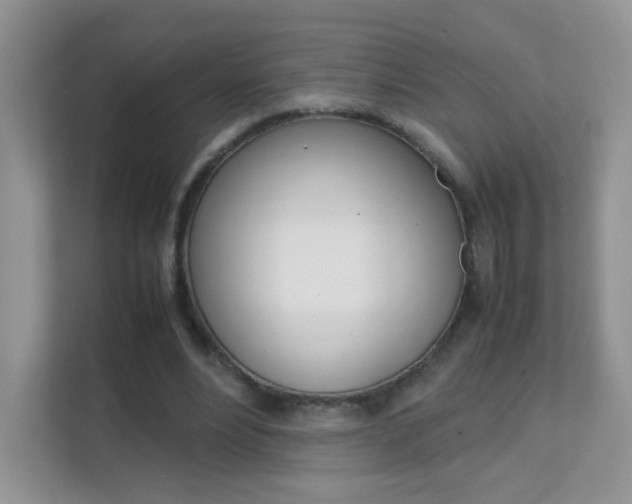 X0000112210488200908071306