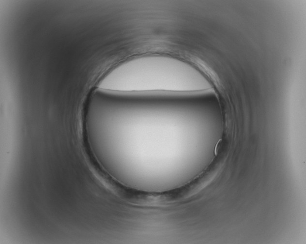 X0000112210493200908071306