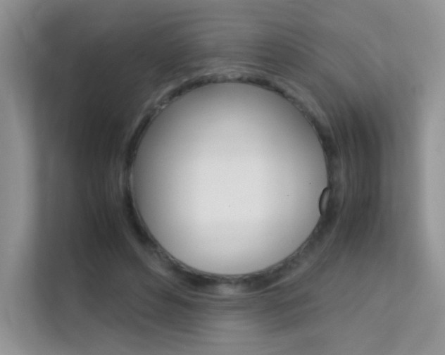 X0000112210496200908071306