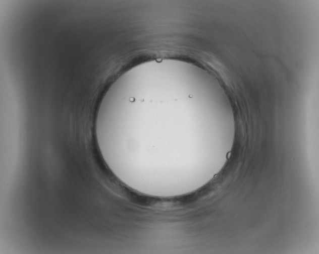 X0000112210499200908071306