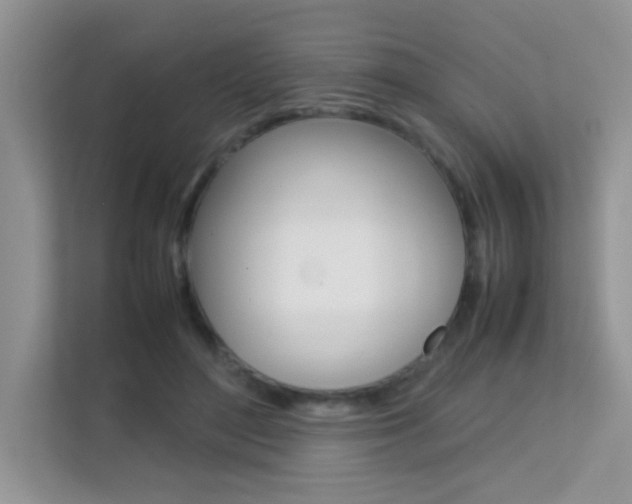 X0000112210500200908071306