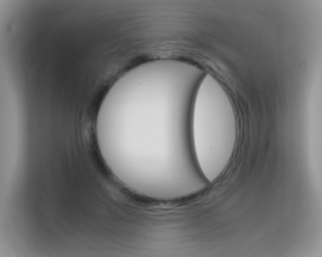 X0000112210503200908071306