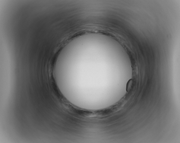 X0000112210504200908071306