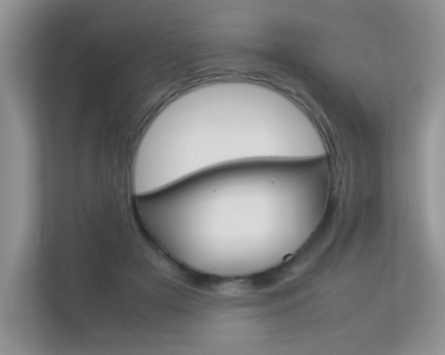 X0000112210505200908071306