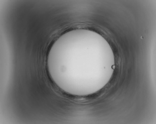 X0000112210507200908071306