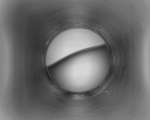X0000112210508200908071305