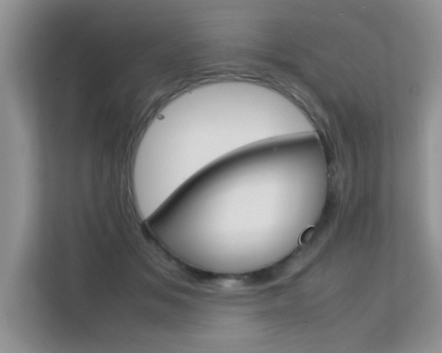 X0000112210509200908071305