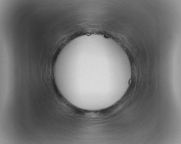 X0000112210511200908071305