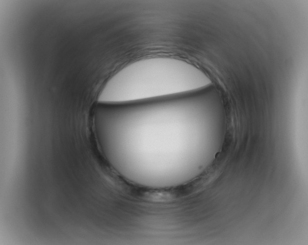 X0000112210512200908071305