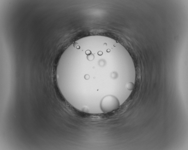 X0000112210519200908071305