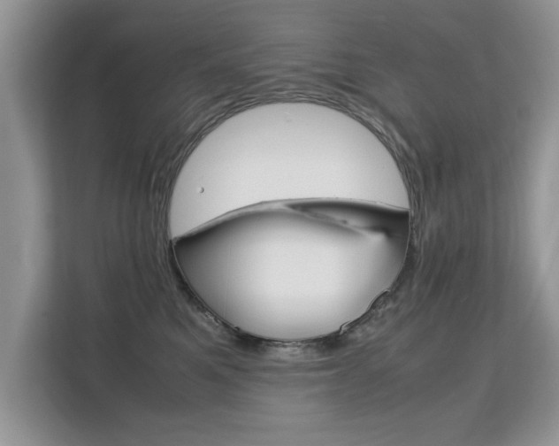 X0000112210521200908071305