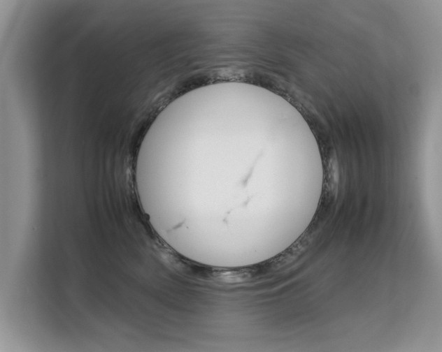 X0000112210522200908071305