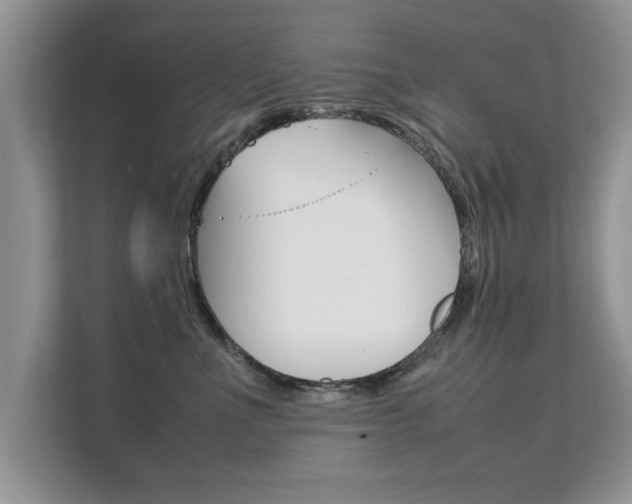 X0000112210523200908071305