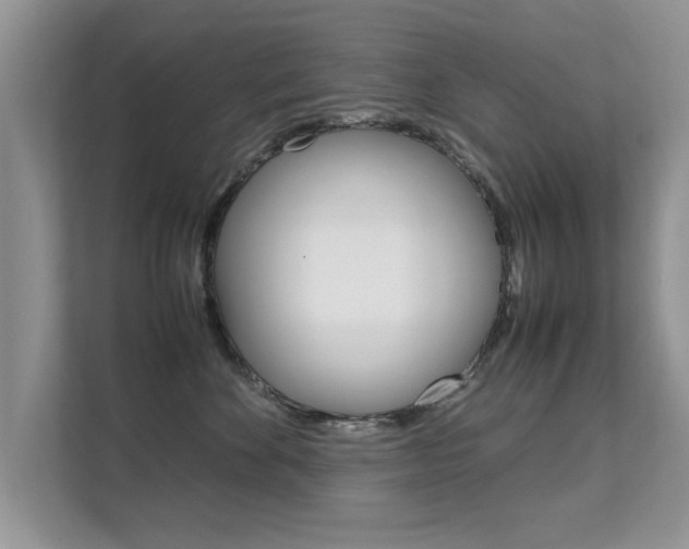 X0000112210524200908071305
