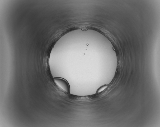 X0000112210525200908071305