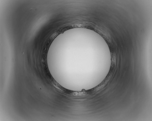 X0000112210526200908071305