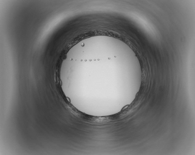 X0000112210527200908071305