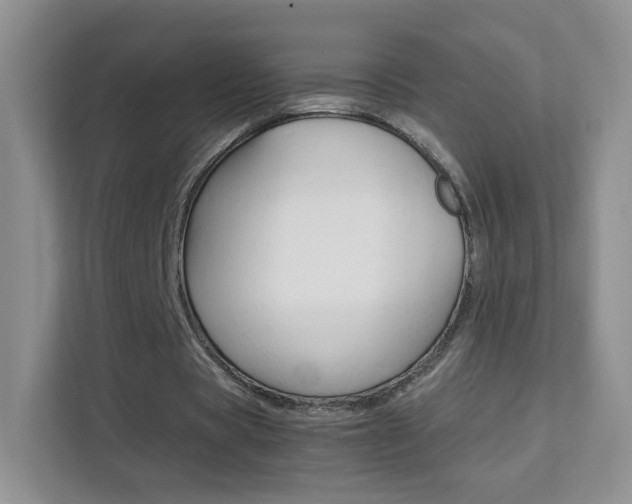 X0000112210529200908071305