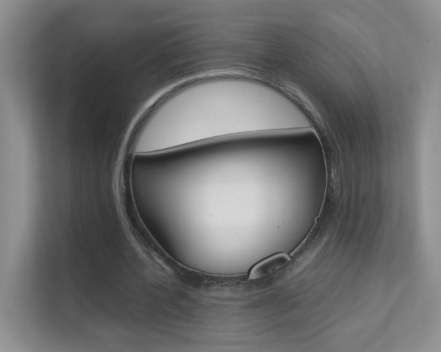 X0000112210532200908071305