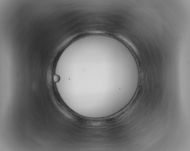 X0000112210533200908071305
