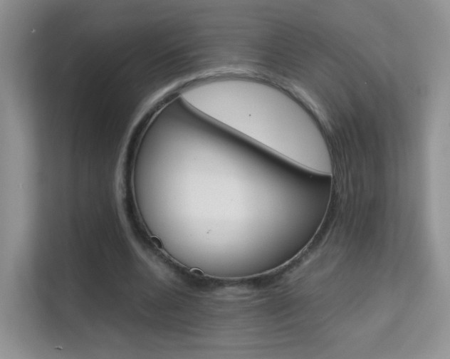 X0000112210536200908071305