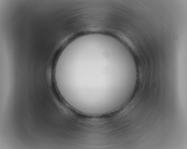 X0000112210542200908071305