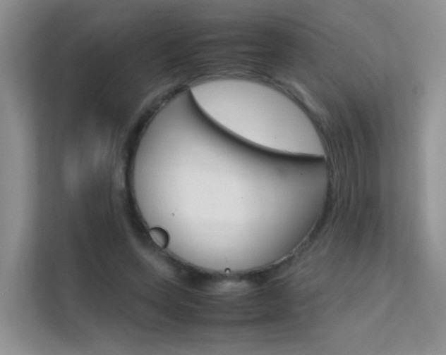 X0000112210543200908071305