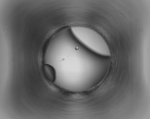 X0000112210544200908071305