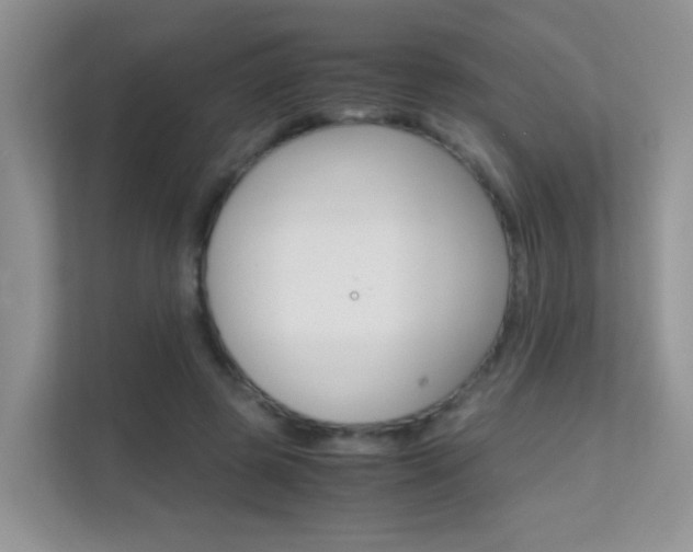 X0000112210545200908071305