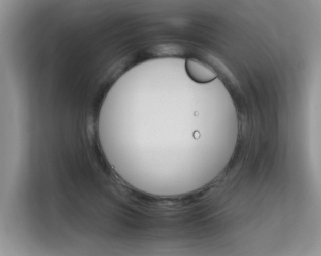 X0000112210549200908071305