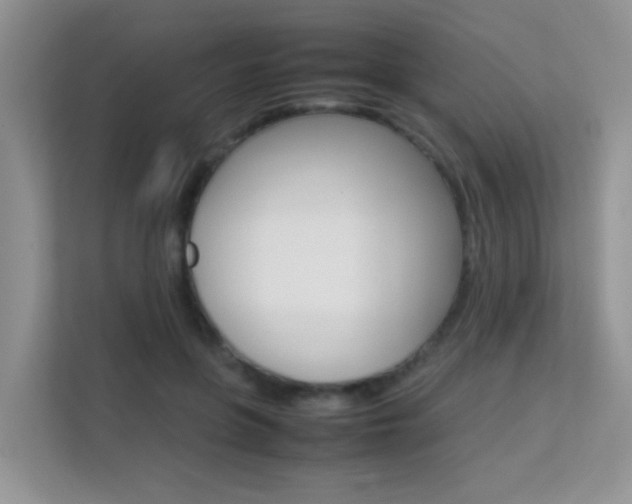 X0000112210551200908071305