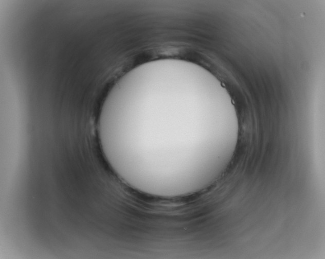 X0000112210555200908071305