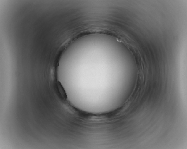 X0000112210556200908071305