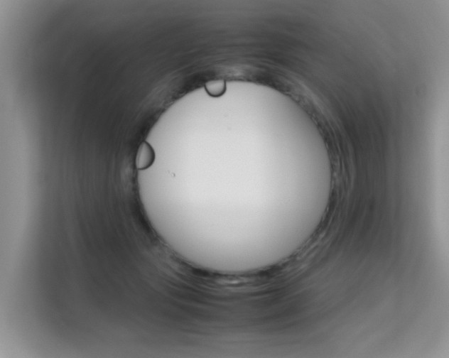 X0000112210557200908071305