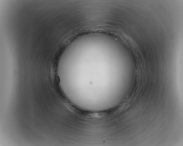 X0000112210558200908071305