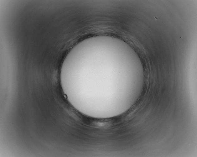 X0000112210563200908071305