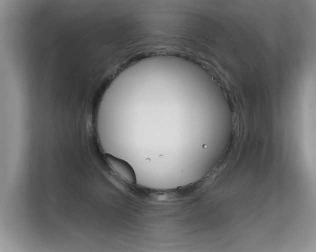 X0000112210564200908071305