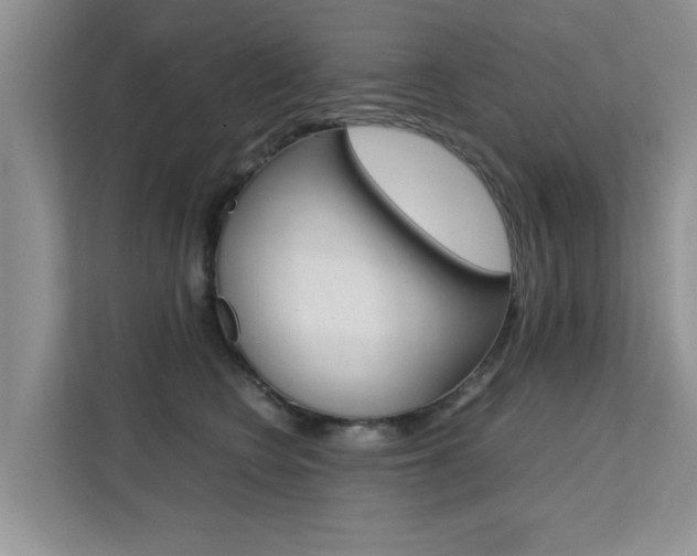 X0000112210566200908071305