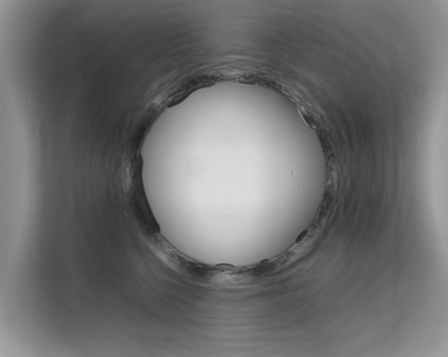 X0000112210568200908071305