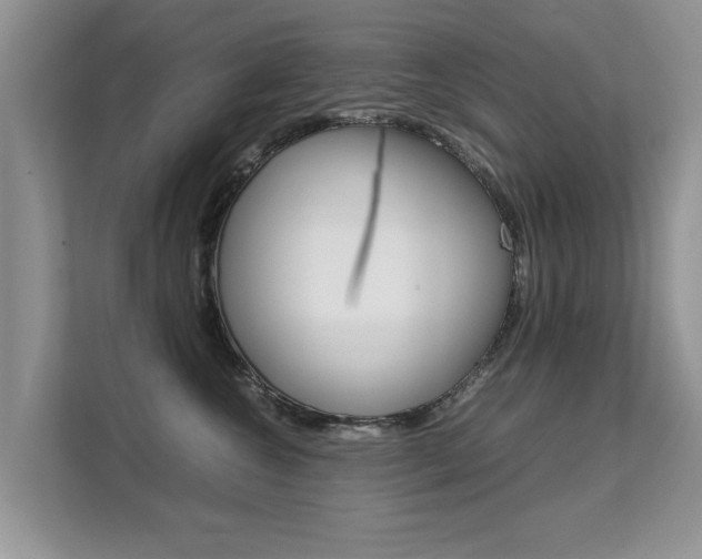 X0000112210572200908071305
