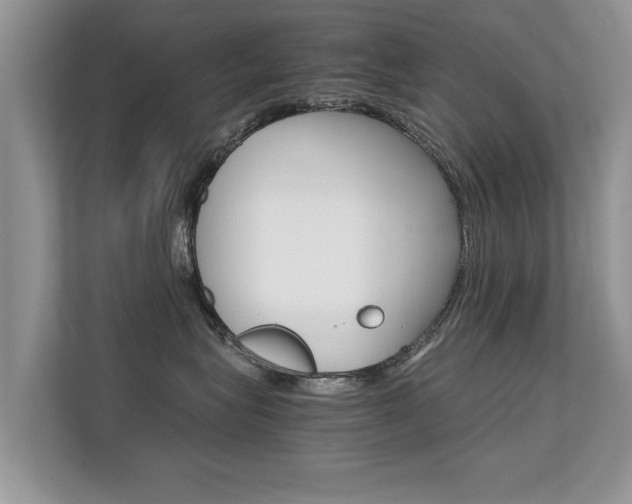X0000112210575200908071305
