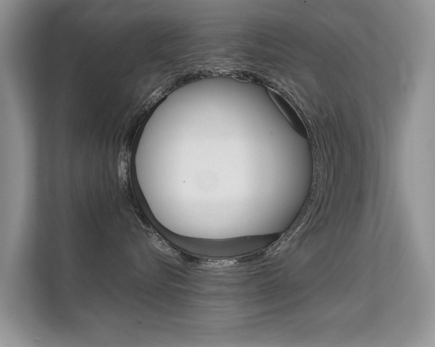 X0000112210576200908071305
