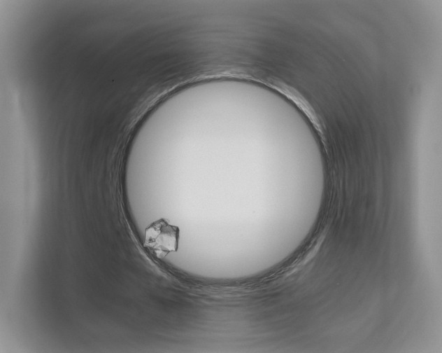 X0000112210577200908071305